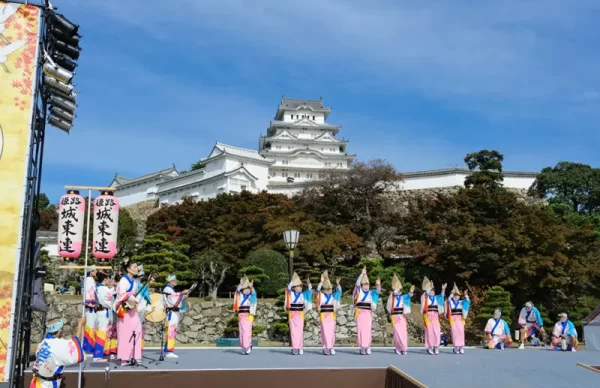 🎆姫路のお祭りと夏の気配｜探偵業も地域密着で【ガルエージェンシー姫路】