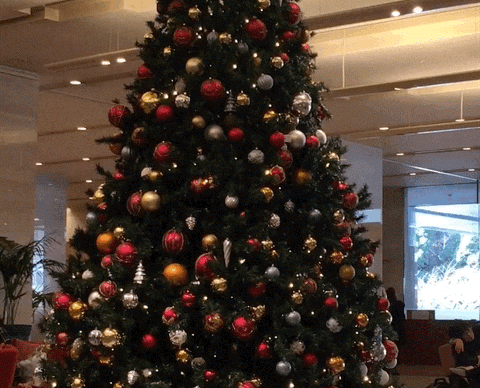 Merry　Christmas　ー探偵が教えるクリスマスに寄り添う心ー