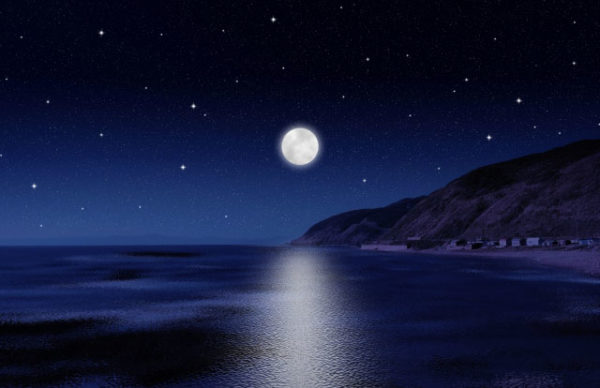 星のだより　✲　探偵が星のメッセージを読み取る　～