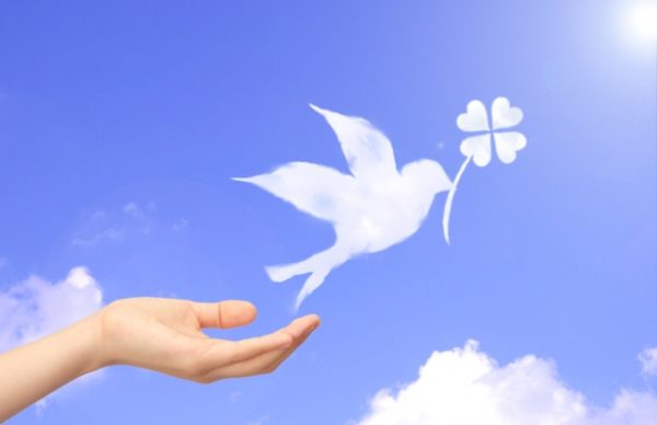 探偵が語る 浮気問題――「幸せそう」に隠された現実（姫路）