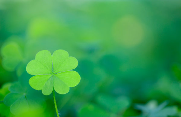 姫路で探偵をお探しの方へ　天赦日・大安・一粒万倍日・が重なる“最良の日”に思うこと